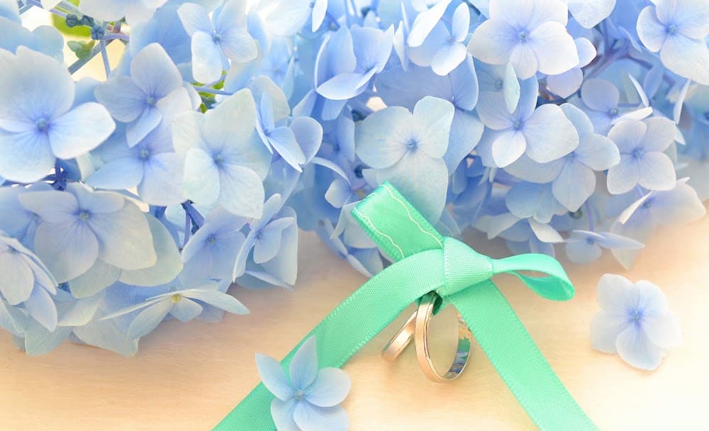 マリッジ・コンシェル 花音の結婚相談所